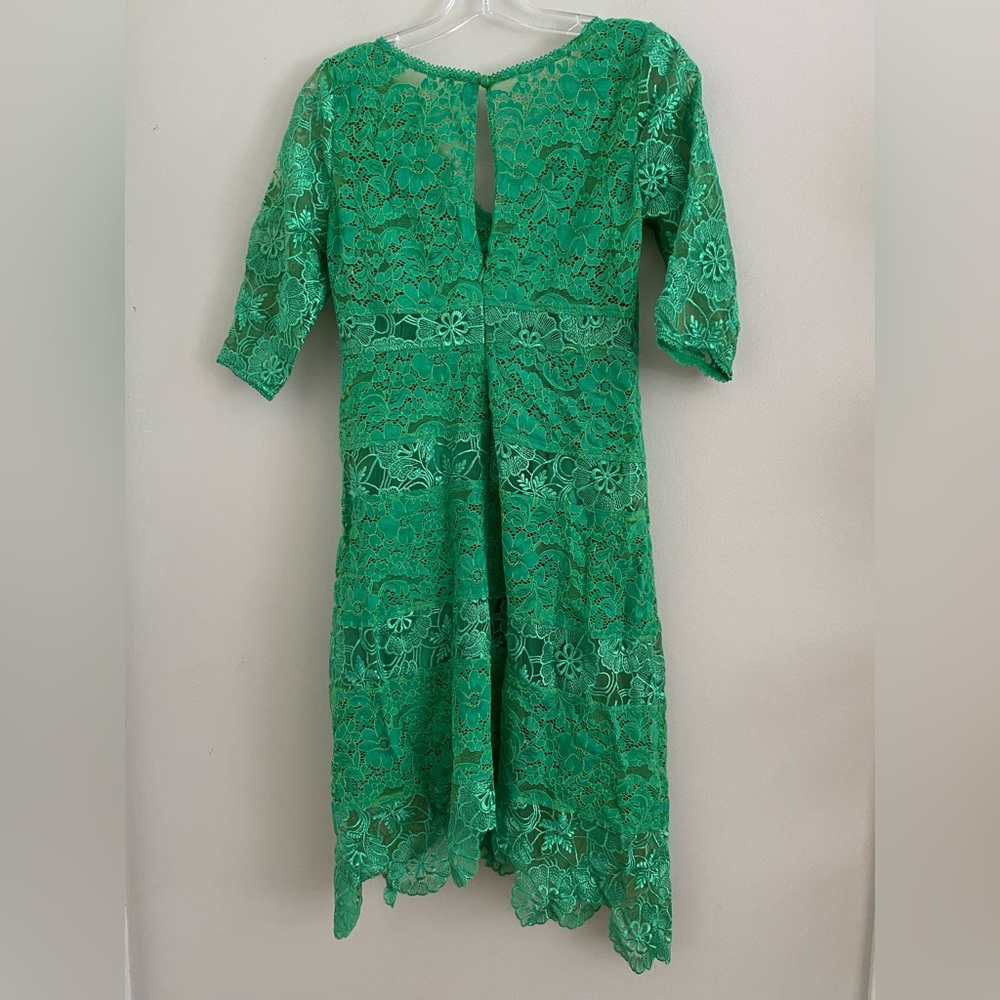 Plenty by Tracey Reese for Anthropologie Angelica Lace Midi dress - Picture 7 of 12